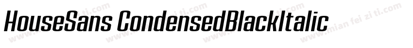 HouseSans CondensedBlackItalic字体转换